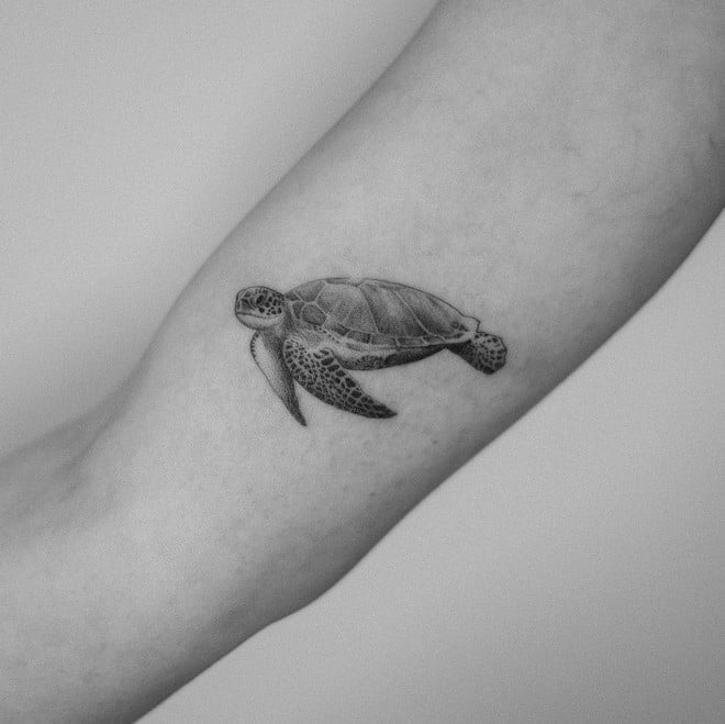 sea turtle tattoo design