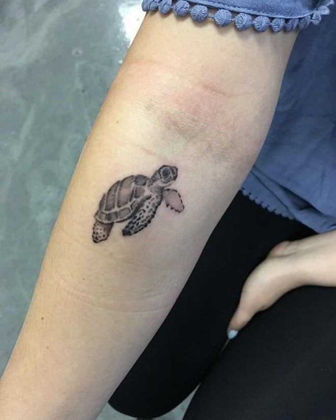 sea turtle tattoo on forearm